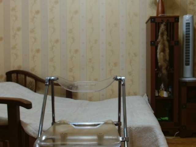 Valenttijm3851 live webcam show