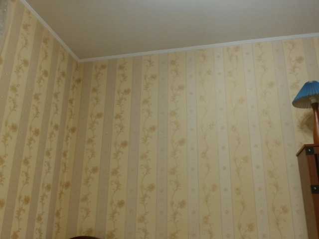 Valenttijm3851