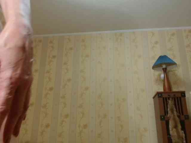 Valenttijm3851 webcam
