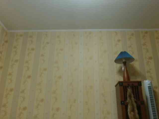 Valenttijm3851 webcam