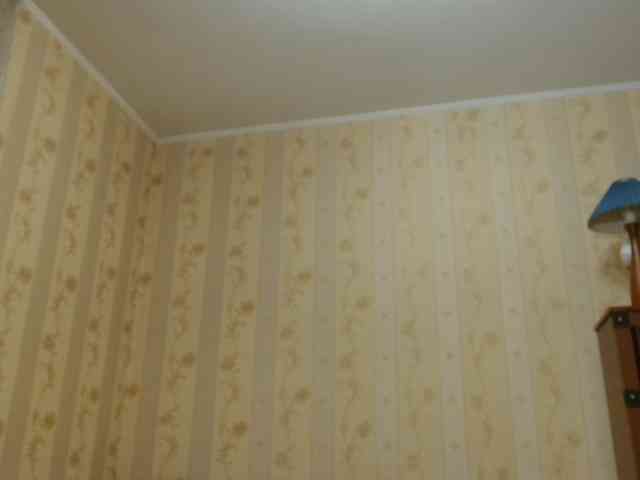 Valenttijm3851 webcam