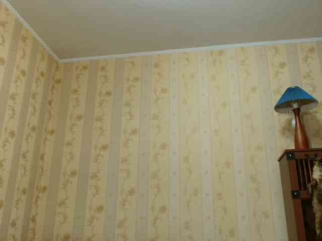 Valenttijm3851 webcam