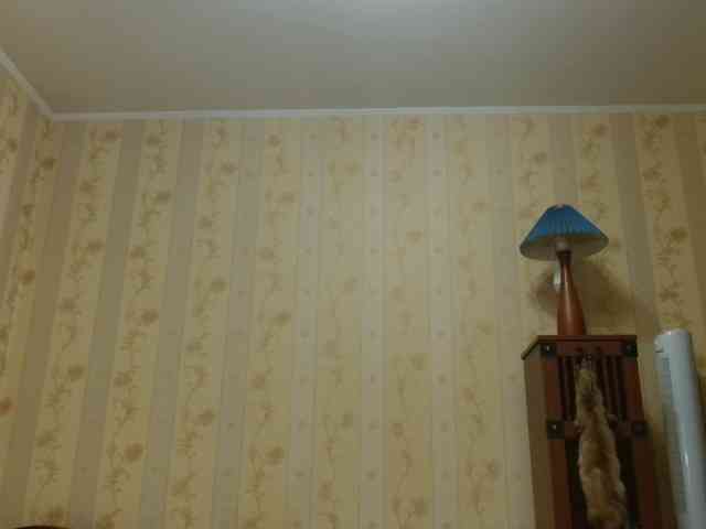 valenttijm3851's live room