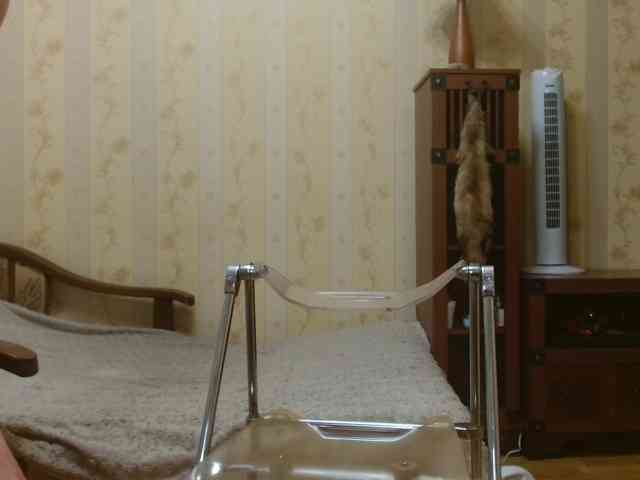 Valenttijm3851 webcam