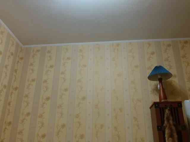 Valenttijm3851 webcam