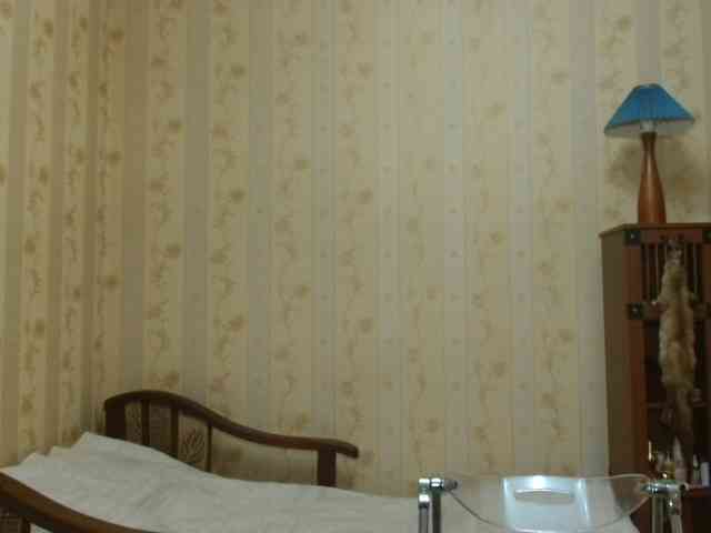 Valenttijm3851 webcam