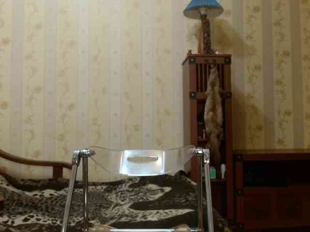 Valenttijm3851 webcam