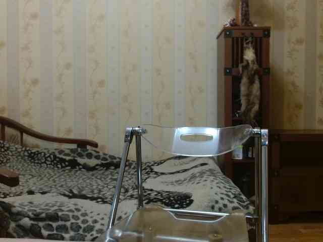Valenttijm3851 webcam