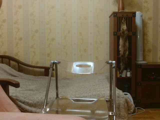Valenttijm3851 webcam