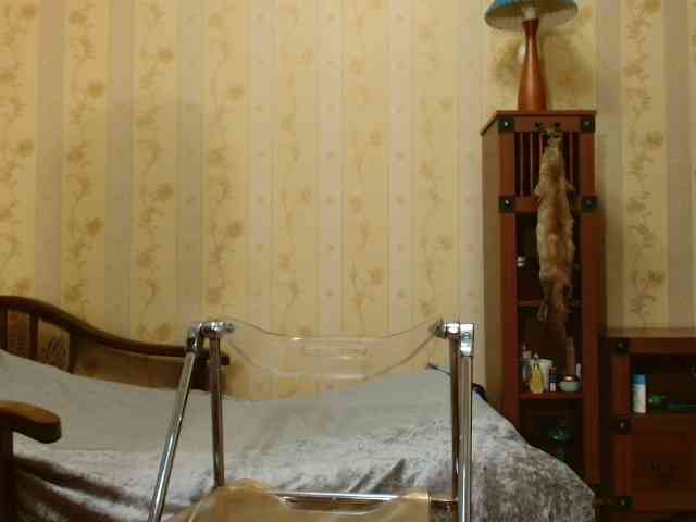 Valenttijm3851