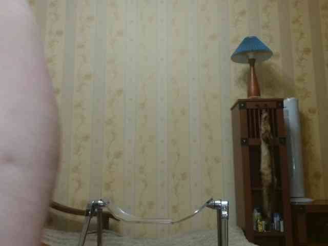 Valenttijm3851 webcam