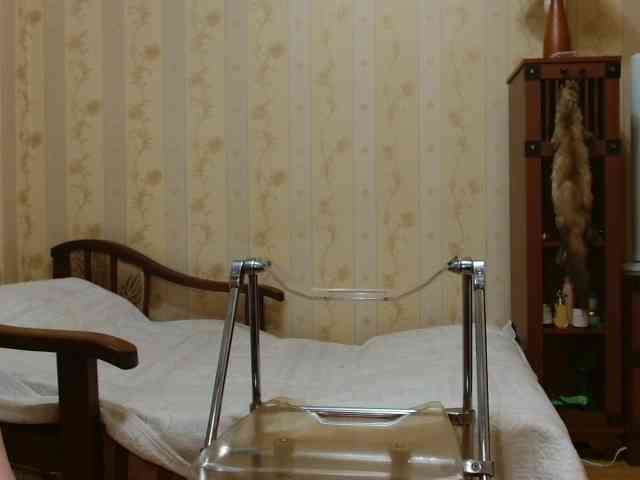 Valenttijm3851