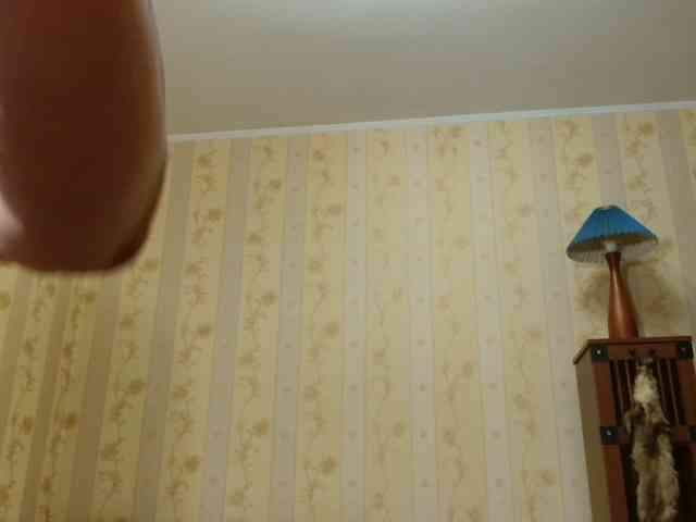 Valenttijm3851 webcam