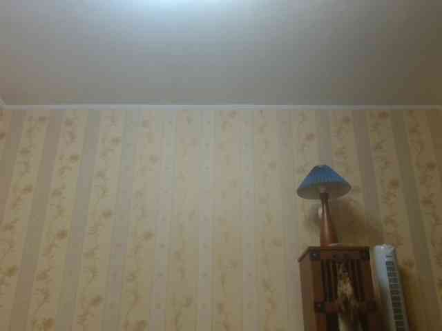 Valenttijm3851 webcam
