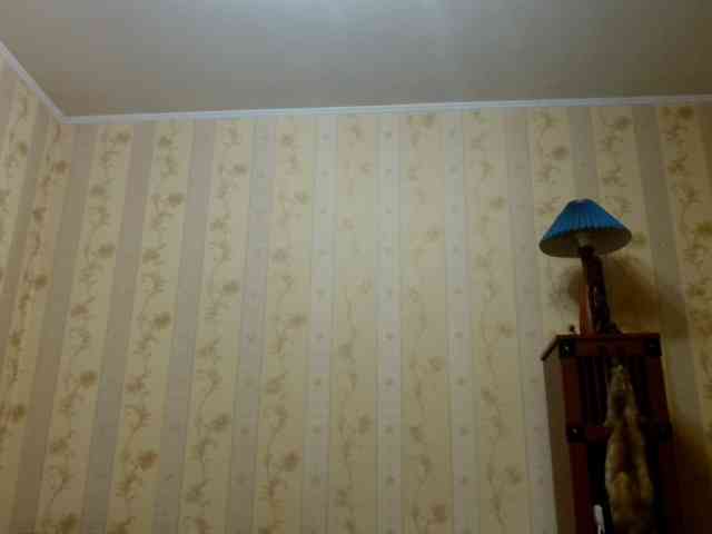 Valenttijm3851 webcam