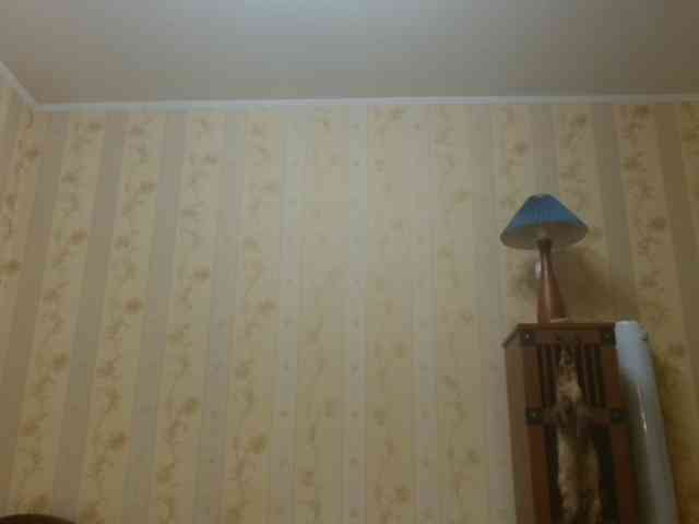 Valenttijm3851 webcam