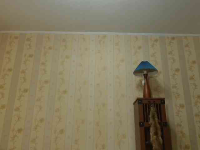 Valenttijm3851 webcam