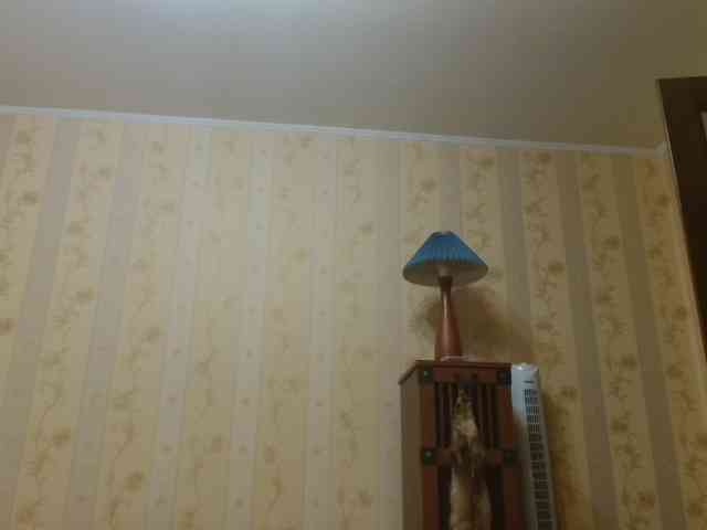 Valenttijm3851 webcam