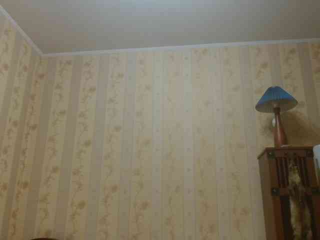 Valenttijm3851 webcam
