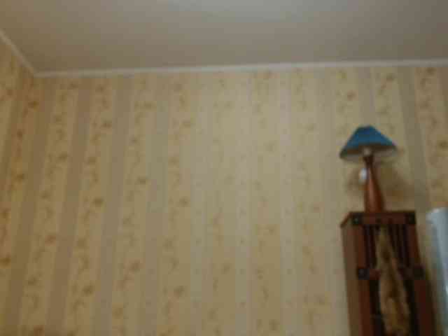 Valenttijm3851 webcam