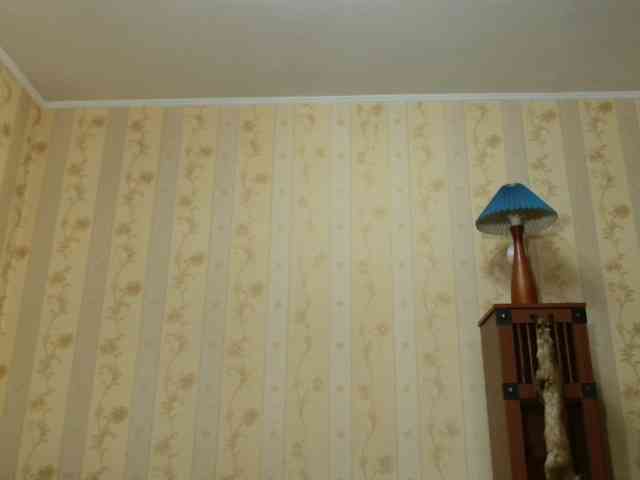 Valenttijm3851 webcam