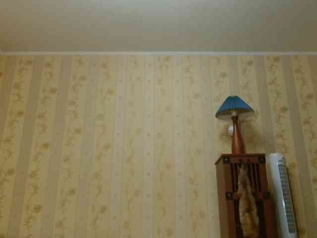 valenttijm3851's live room