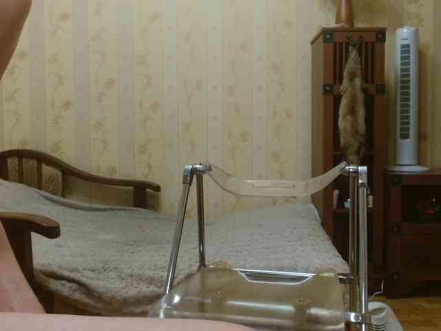 Valenttijm3851