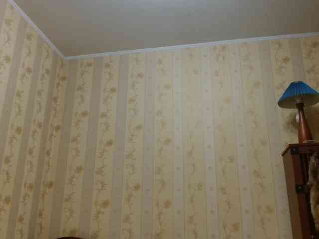 Valenttijm3851 webcam