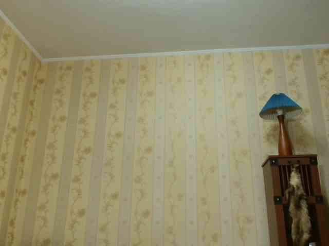 adult camming Valenttijm3851