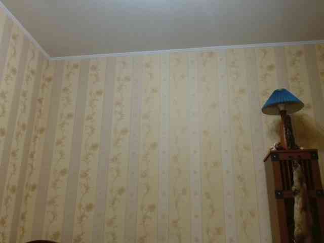 Valenttijm3851 webcam