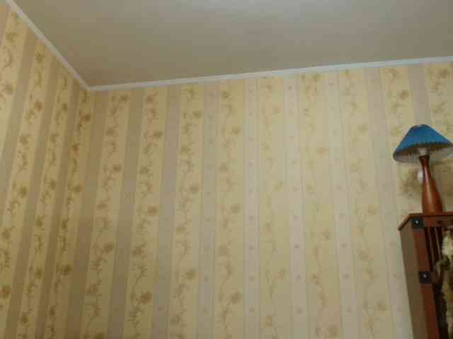 Valenttijm3851 webcam