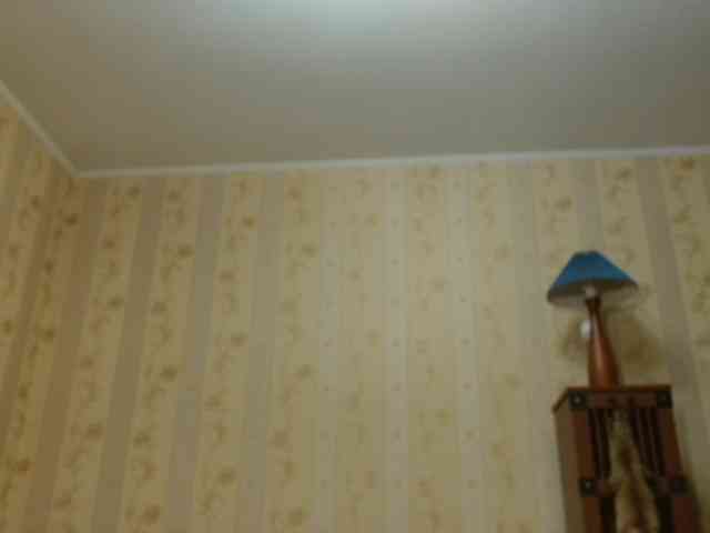 Valenttijm3851 webcam