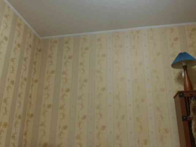 Valenttijm3851 webcam