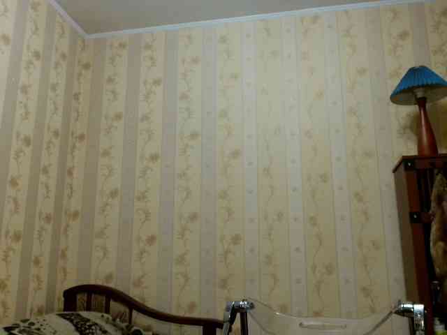 Valenttijm3851 webcam
