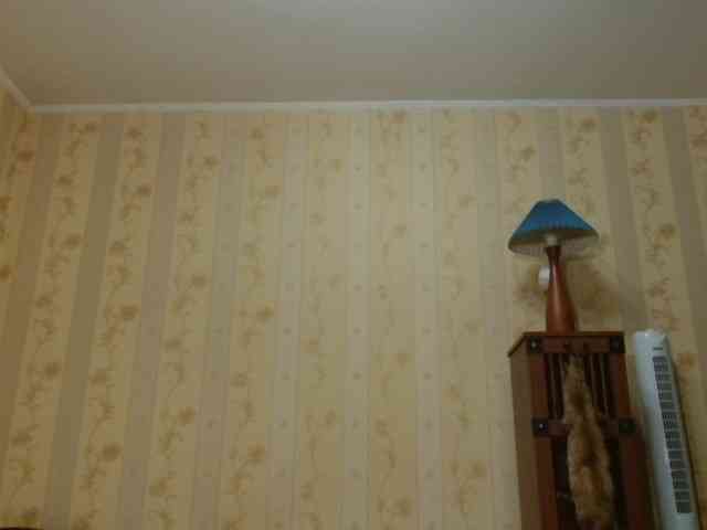 Valenttijm3851 webcam