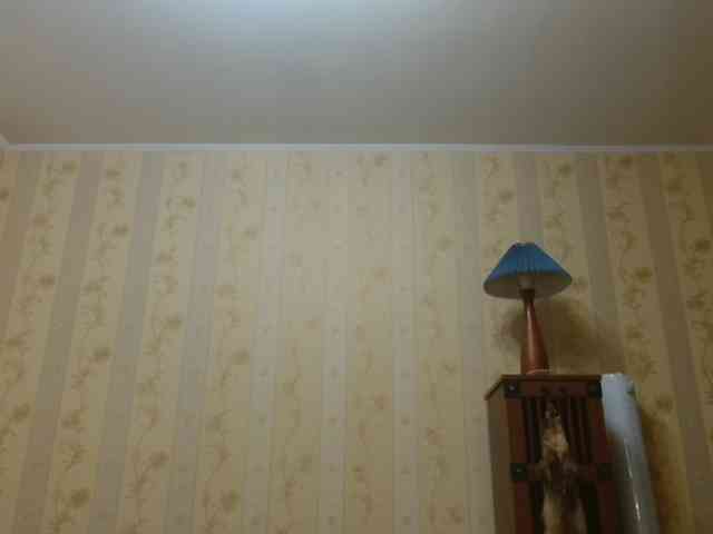 Valenttijm3851 webcam