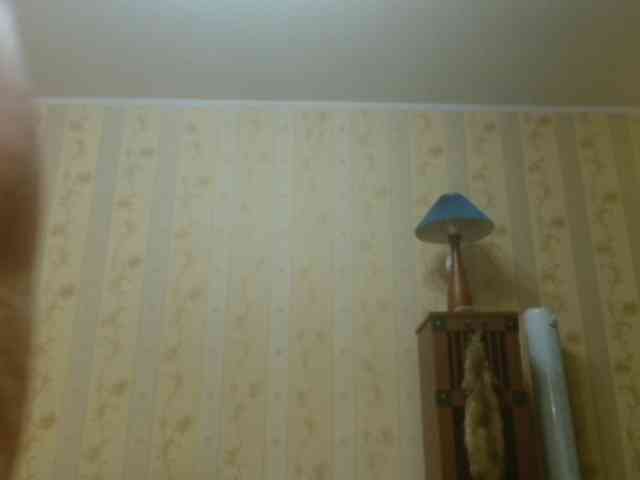 Valenttijm3851 webcam