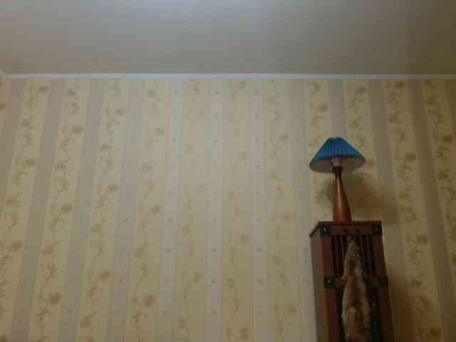 Valenttijm3851 webcam