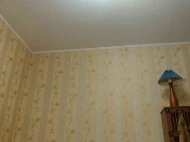 Valenttijm3851 webcam