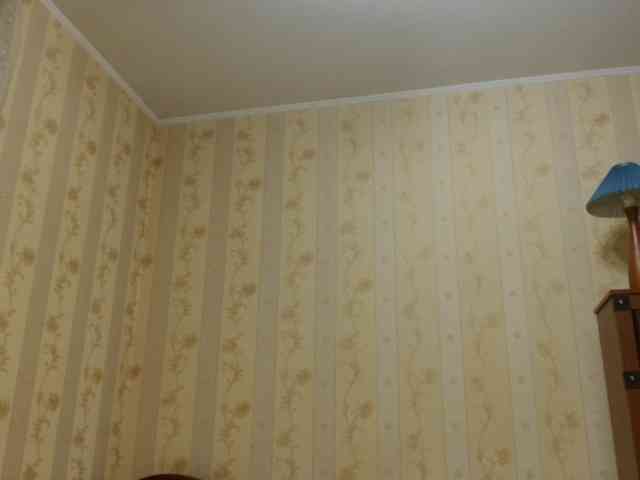 Valenttijm3851 webcam