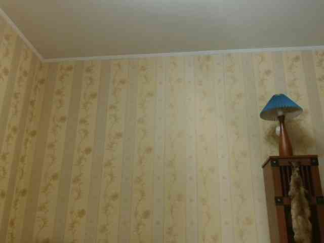 Valenttijm3851 webcam