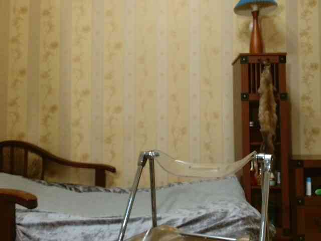 Valenttijm3851