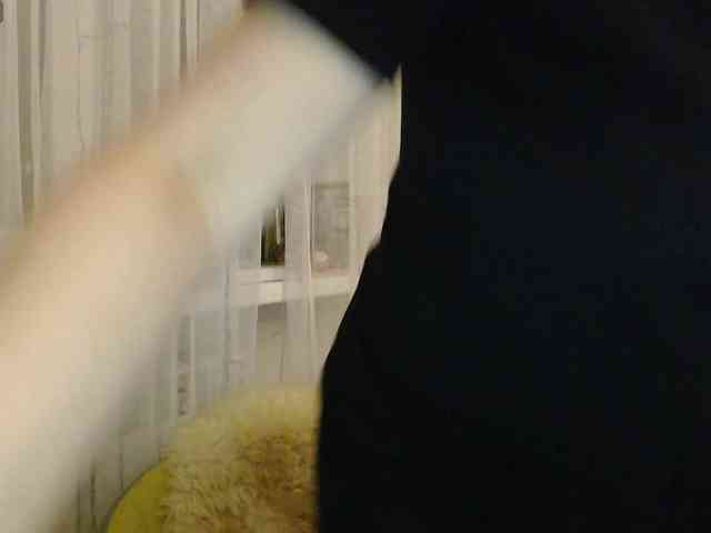 Karmella webcam