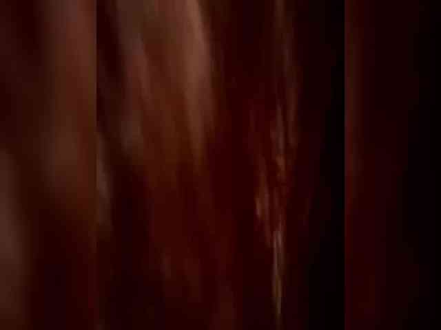 ANISEDAR webcam