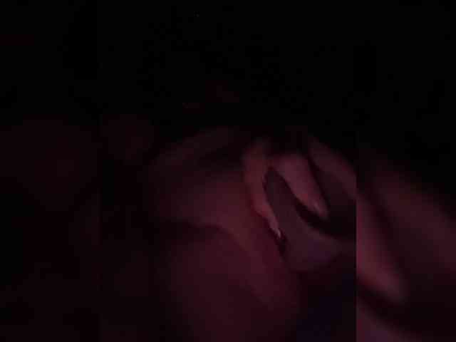 ANISEDAR webcam