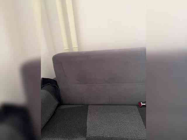 ANISEDAR webcam