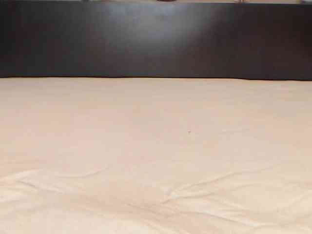 LexaBrunette webcam