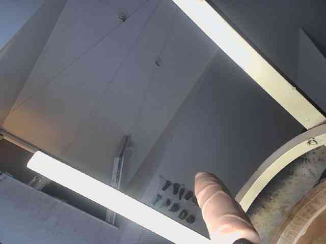ARTIshocSex