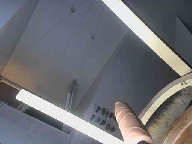 ARTIshocSex