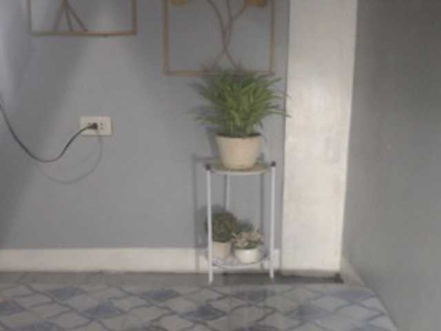 DaveCarel live cam